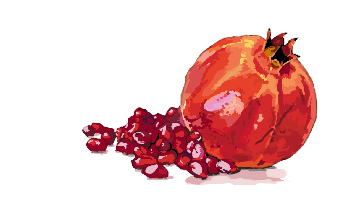 pomegranate_illustration