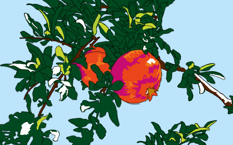 Painted_pomegranates_on_a_tree
